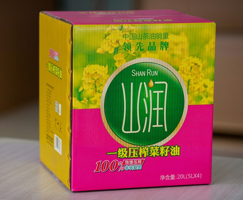 ɽ��������